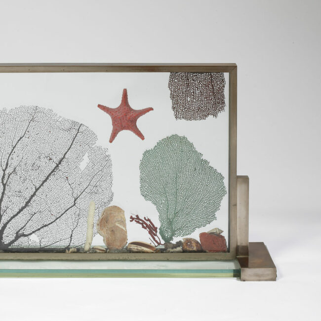 “Fond marin” display cabinet