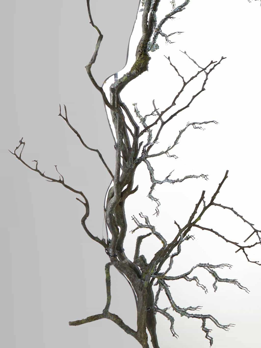 Joy de Rohan Chabot, «L’Attrape-Rêve», vue 02
