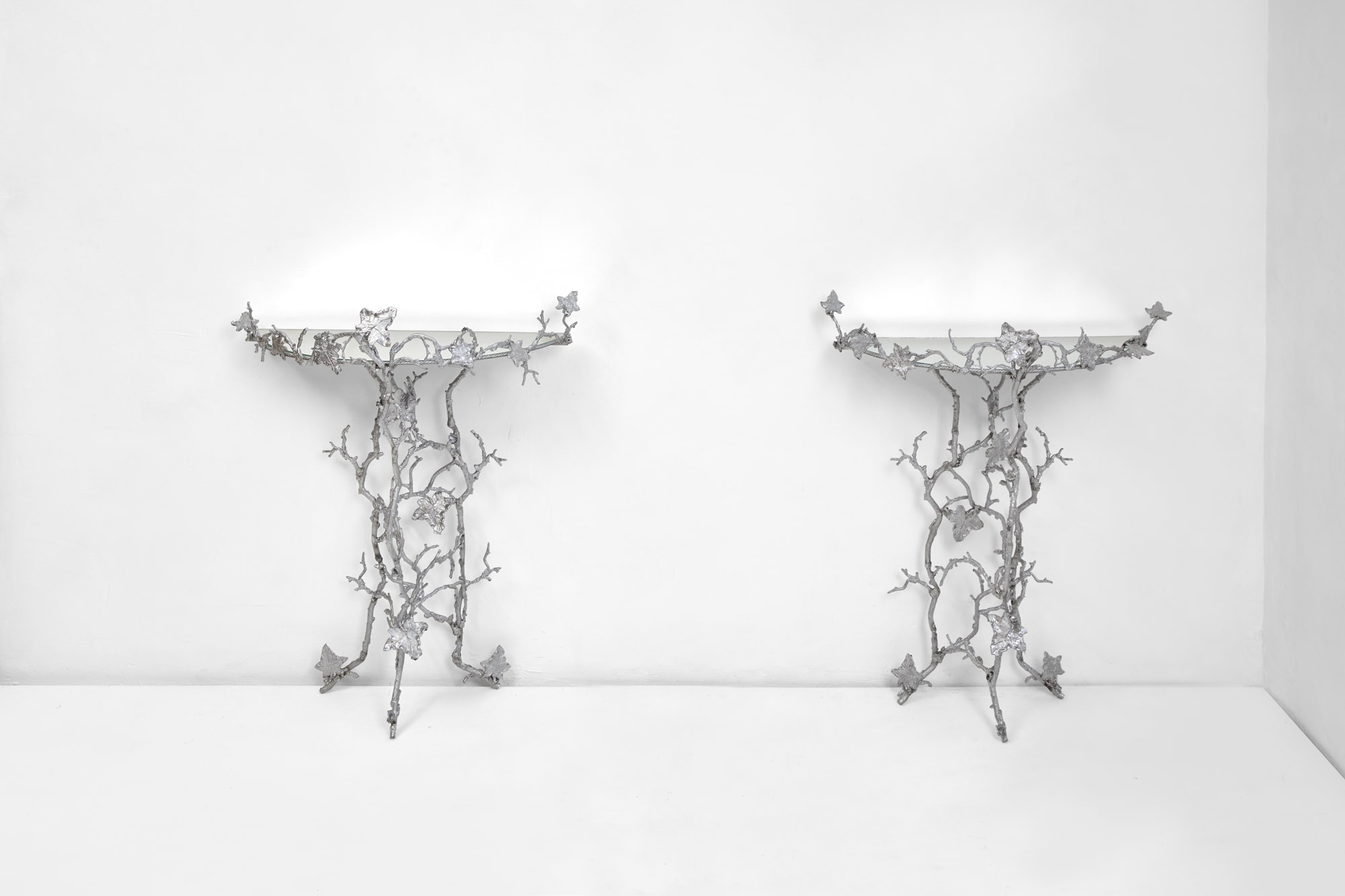 Joy de Rohan Chabot, “Un Lierre en Hiver”, vue 01