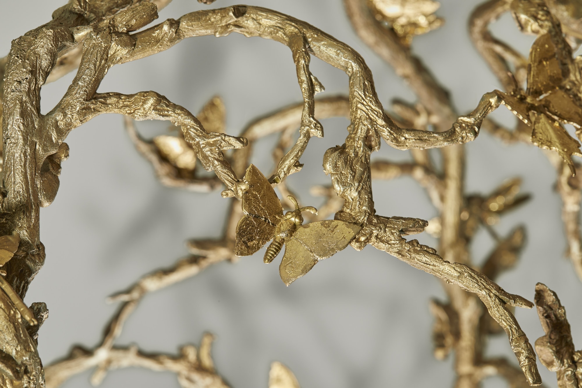 Joy de Rohan Chabot, «Cage aux Papillons» (sold), vue 02