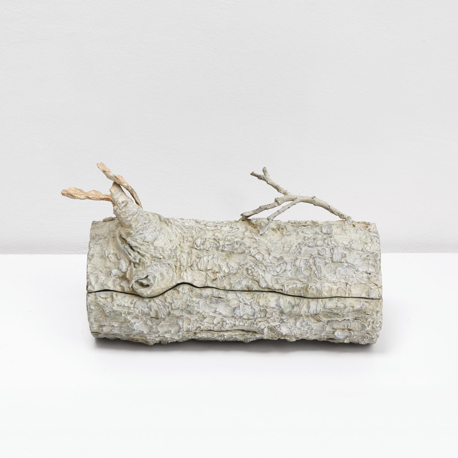 Joy de Rohan Chabot, “Le Secret”, vue 01
