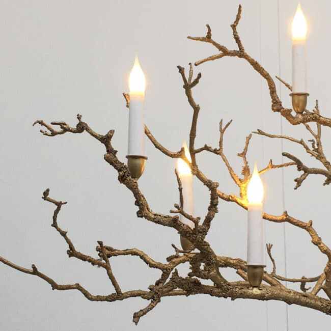 Joy de Rohan Chabot, “L’Arbre brûlé”