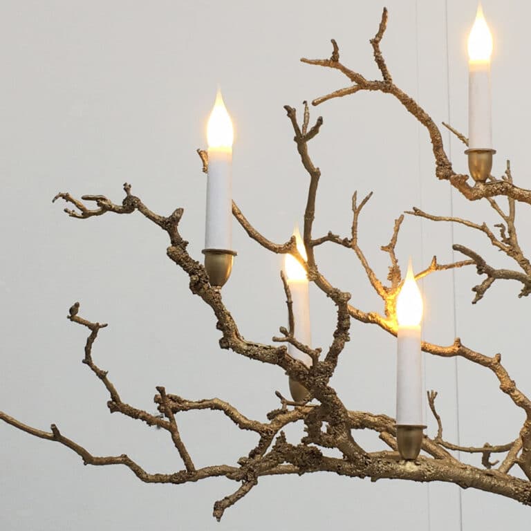 Joy de Rohan Chabot, “L’Arbre brûlé”