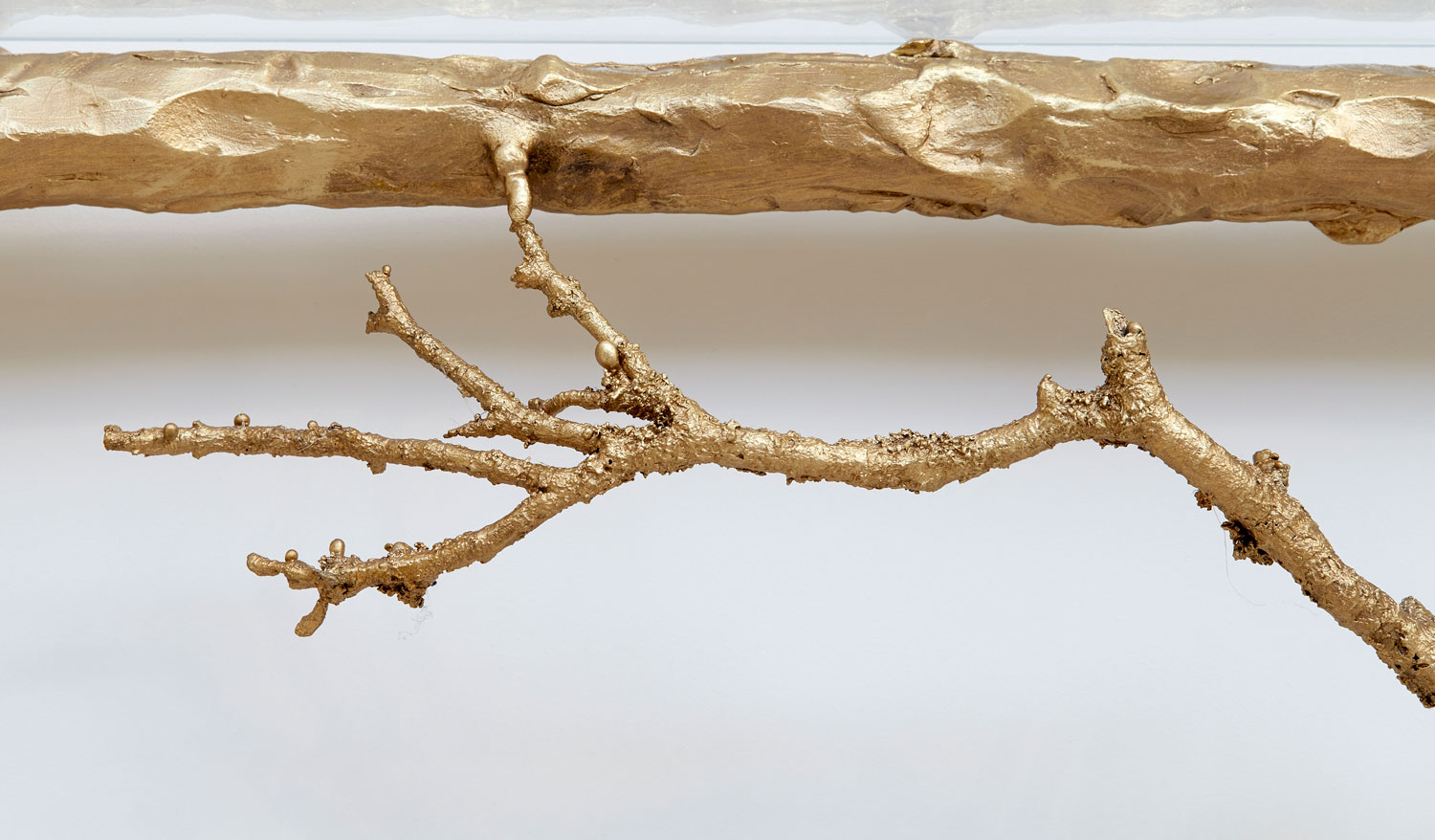 Joy de Rohan Chabot, «Les arbres contre le mur», vue 04