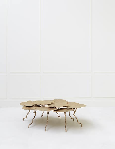 Joy de Rohan Chabot, “Grand Buisson Vermeil”, vue 01