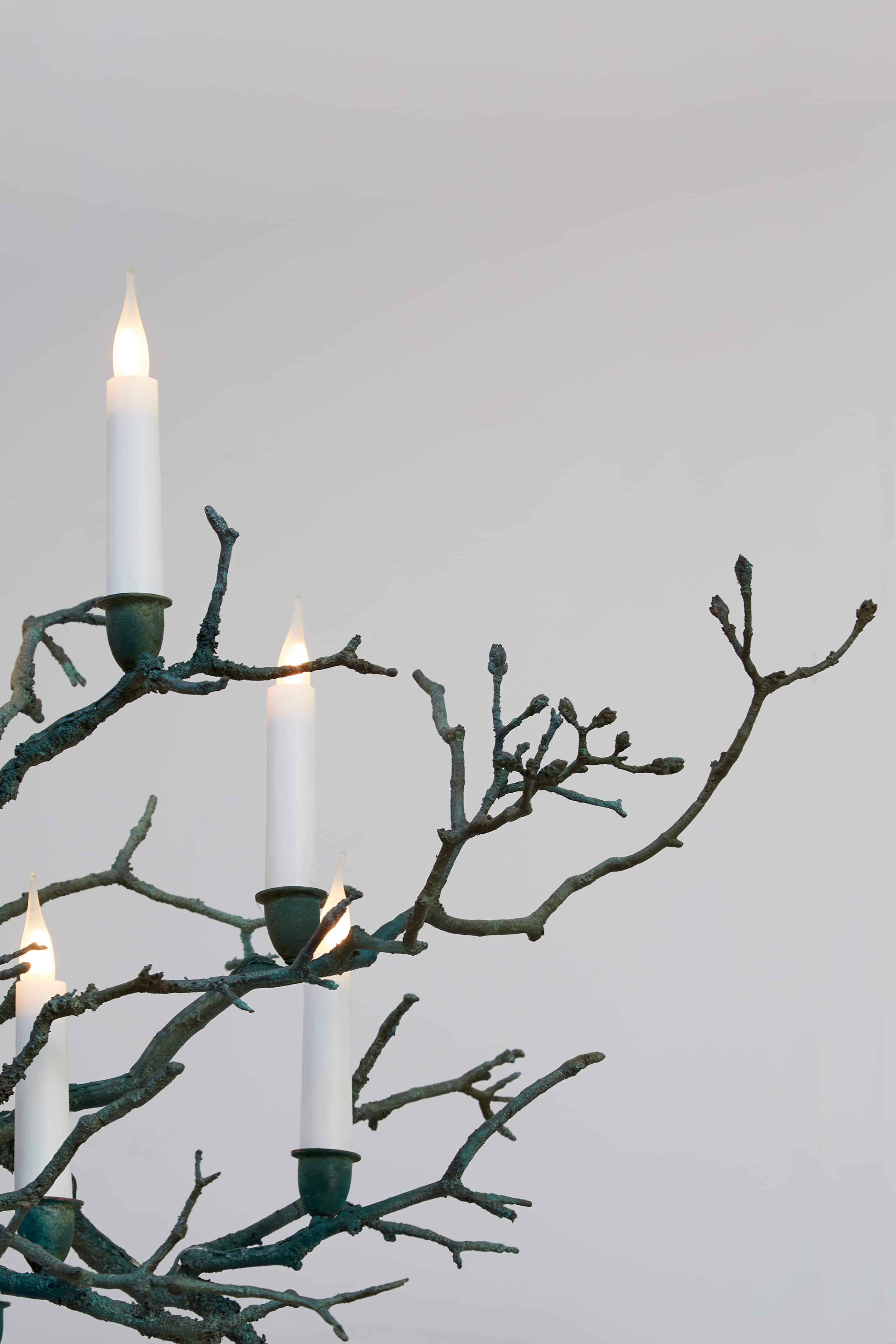Joy de Rohan Chabot, «L’Arbre vert», vue 02