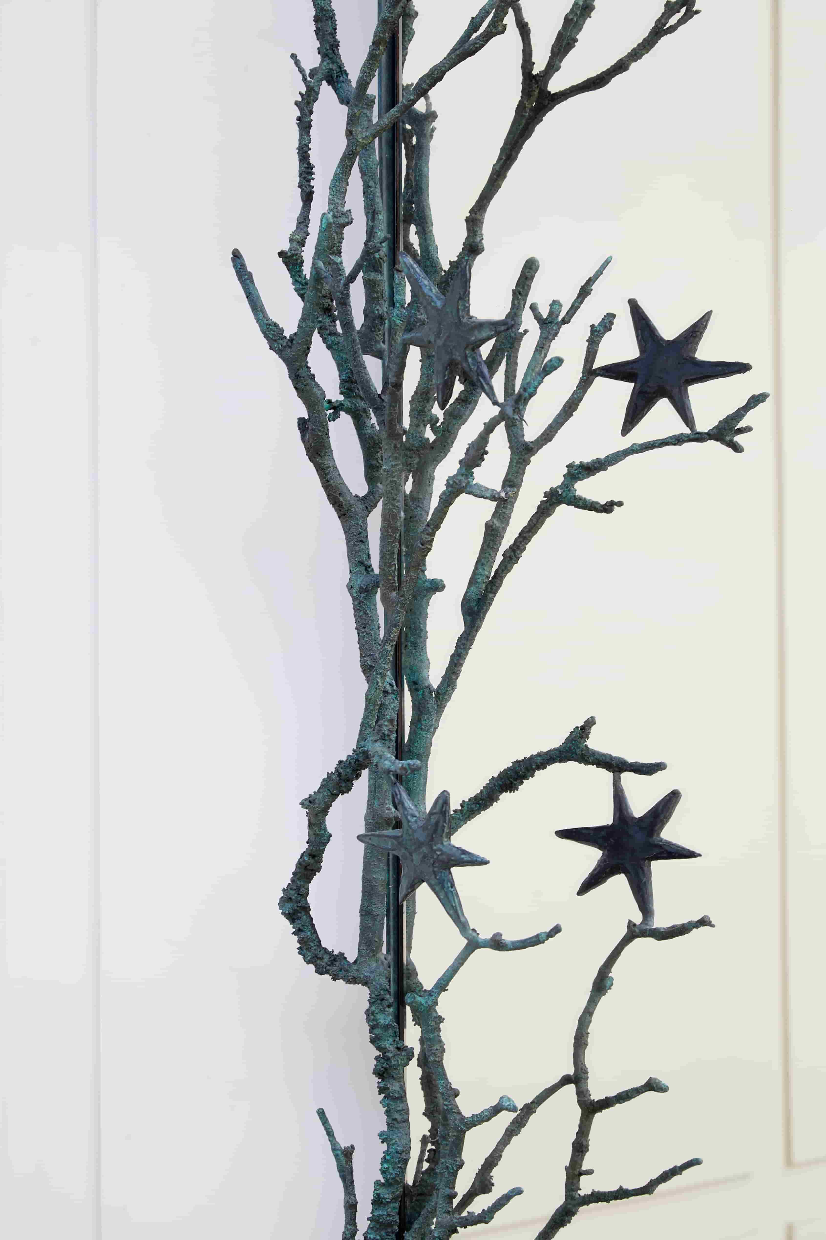 Joy de Rohan Chabot, «Les étoiles vertes», vue 04