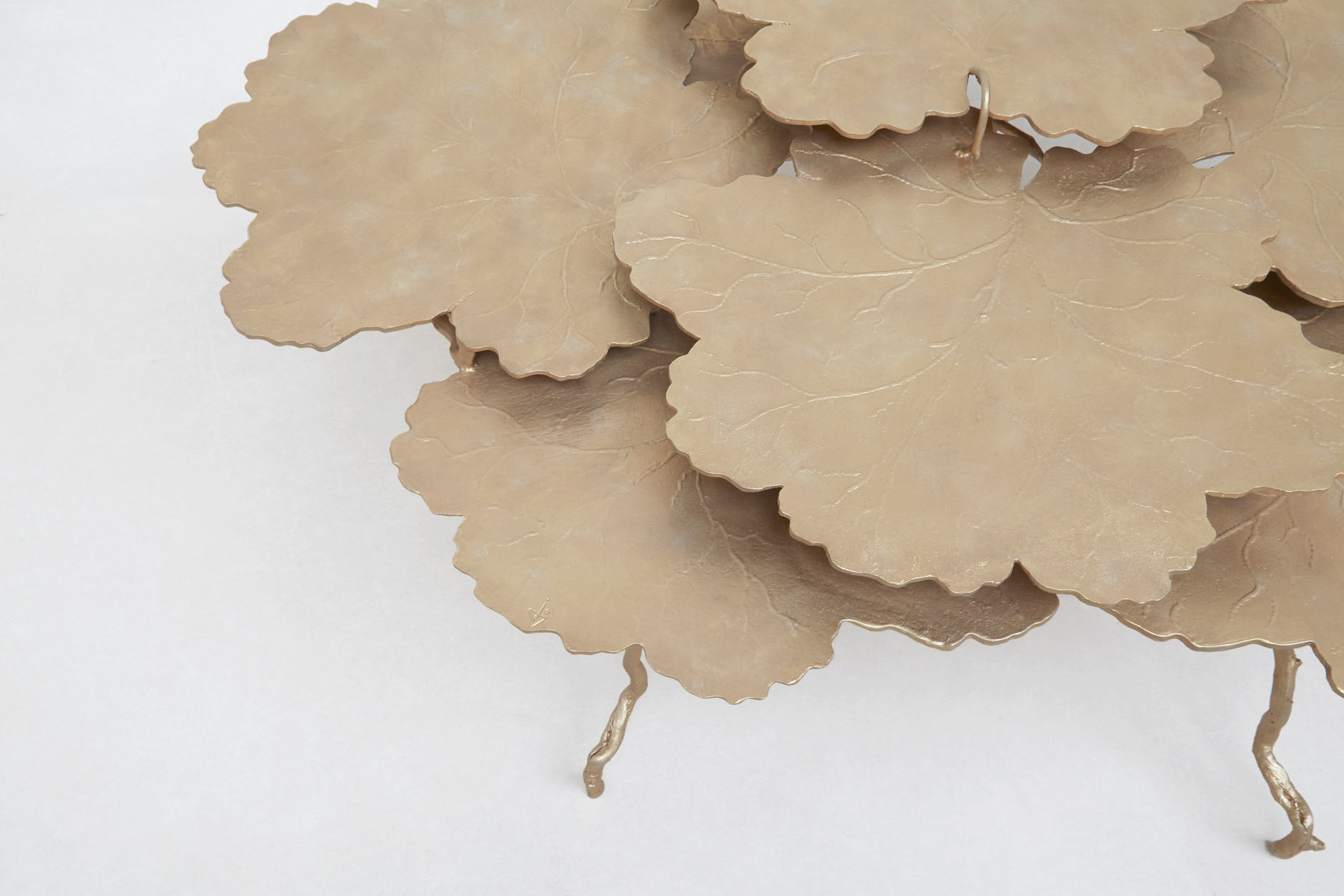 Joy de Rohan Chabot,  “Grand Buisson Vermeil”, vue 03