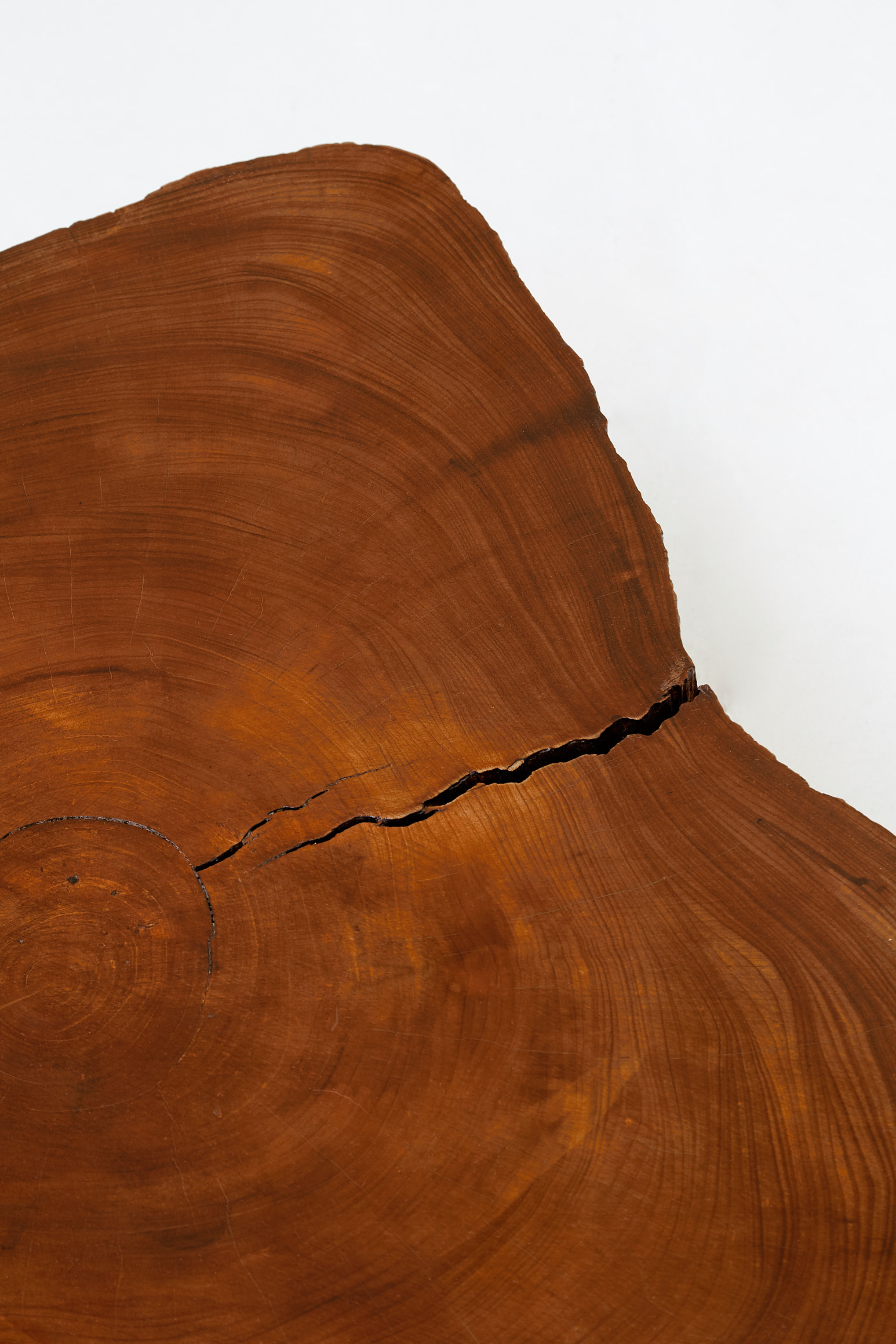 Joaquim Tenreiro,”Tronco” coffee table, vue 03