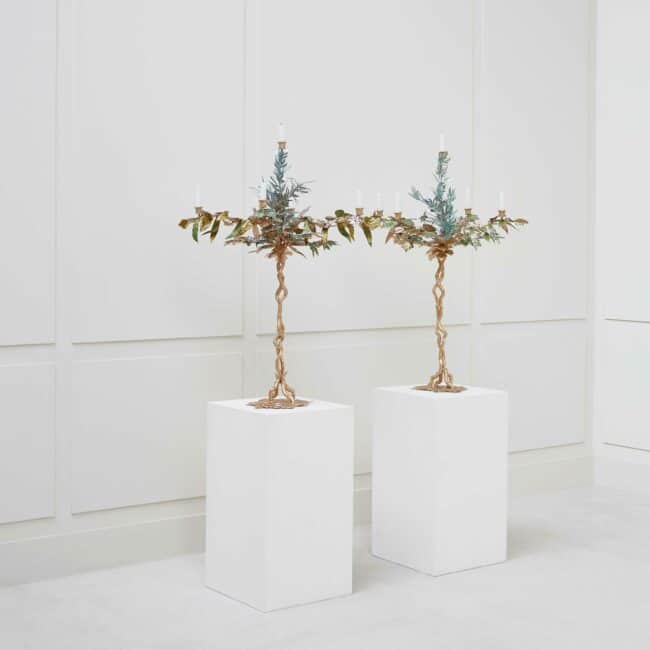 Joy de Rohan Chabot, «Arbres de Vie»