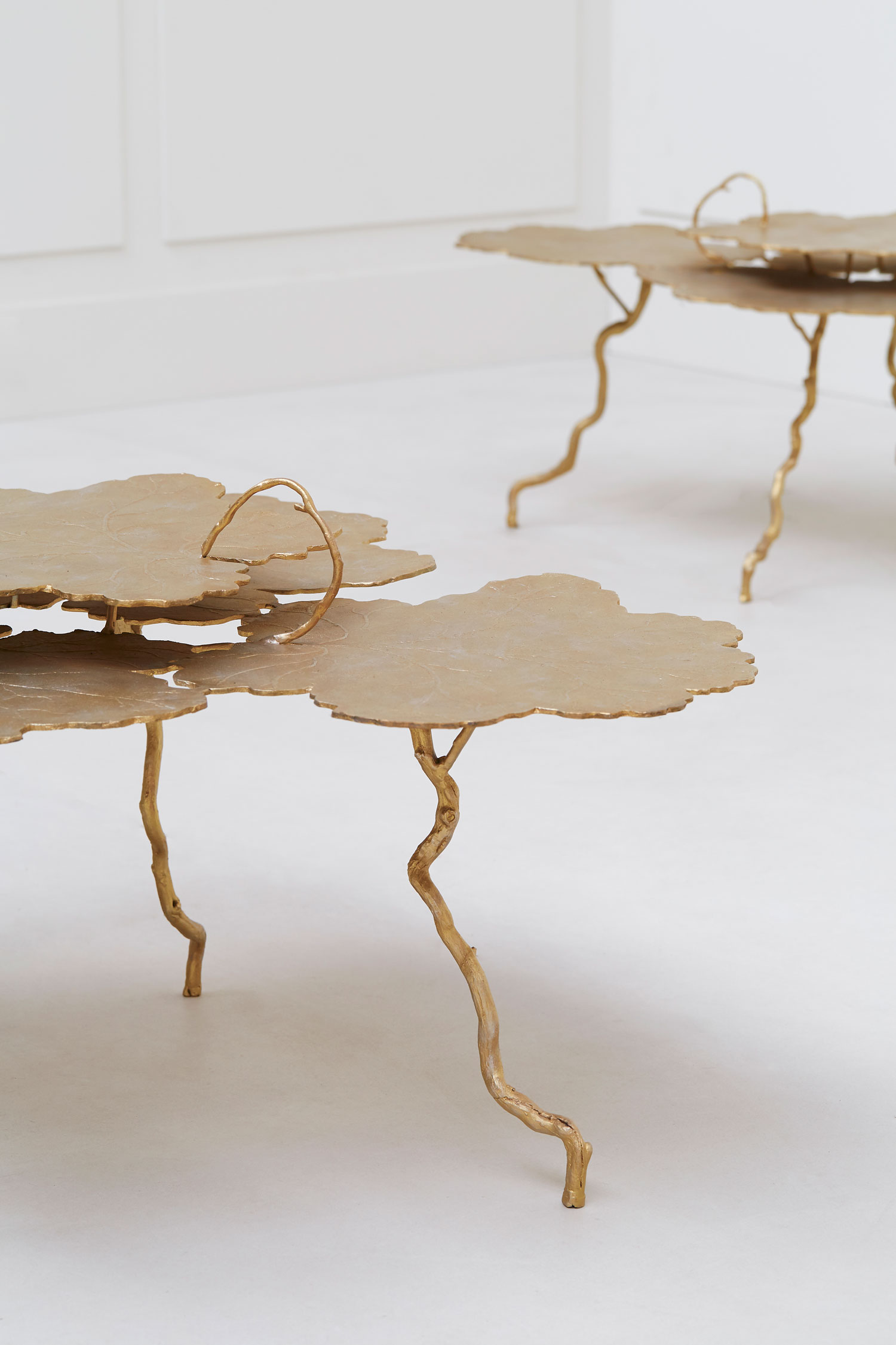 Joy de Rohan Chabot, «Petits Buissons d’Argent», vue 02