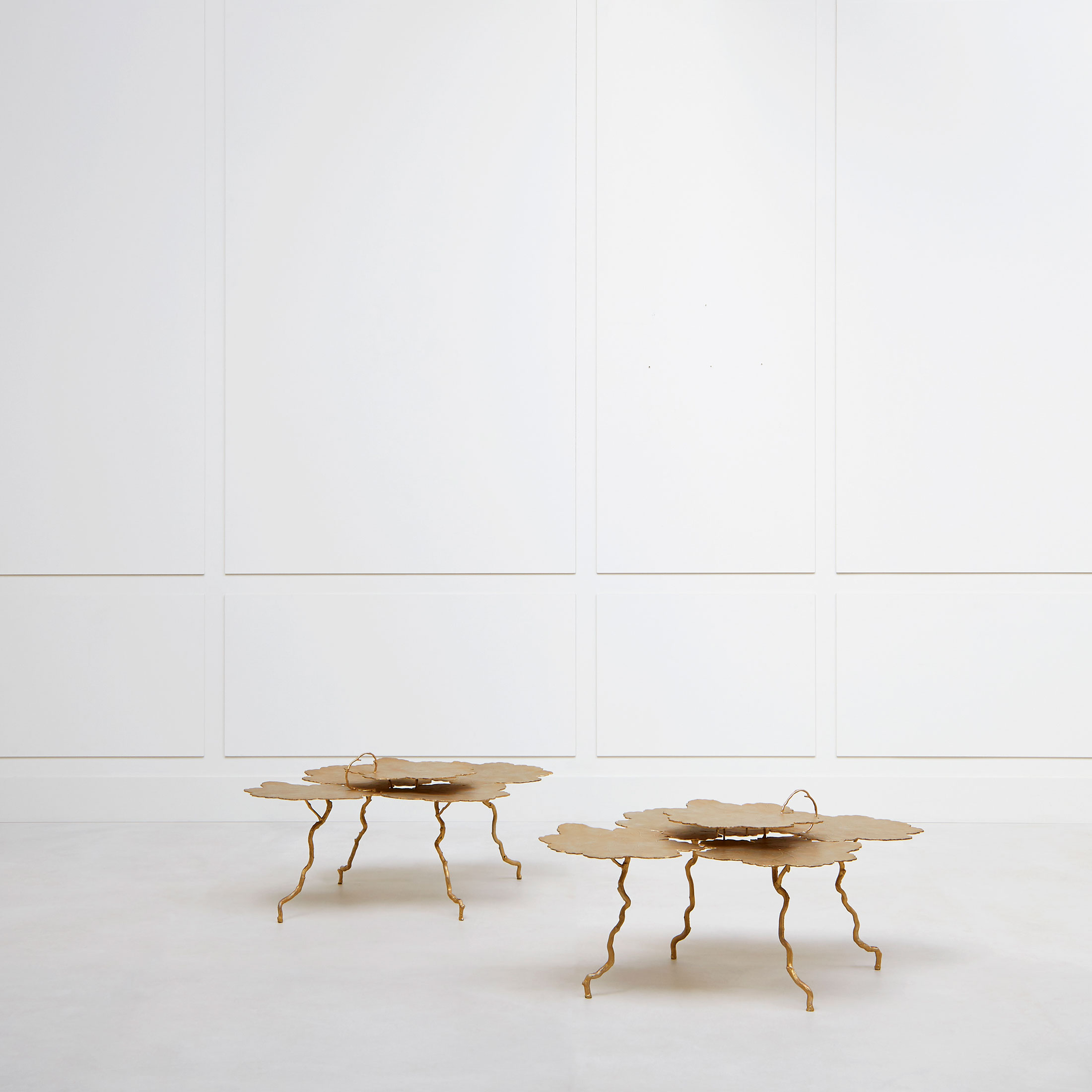 Joy de Rohan Chabot, «Petits Buissons d’Argent», vue 01