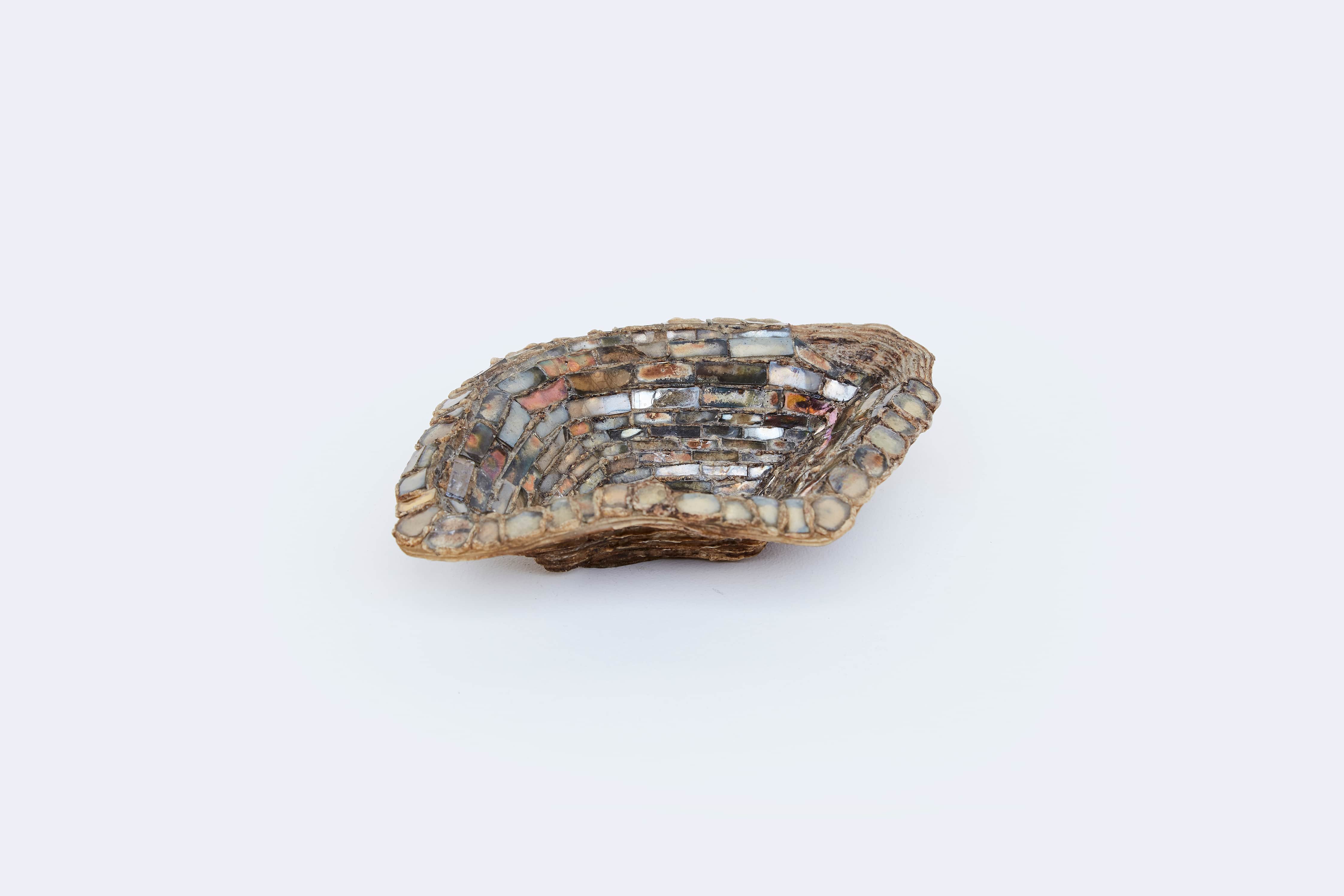Line Vautrin, Coupe Huître, vue 02