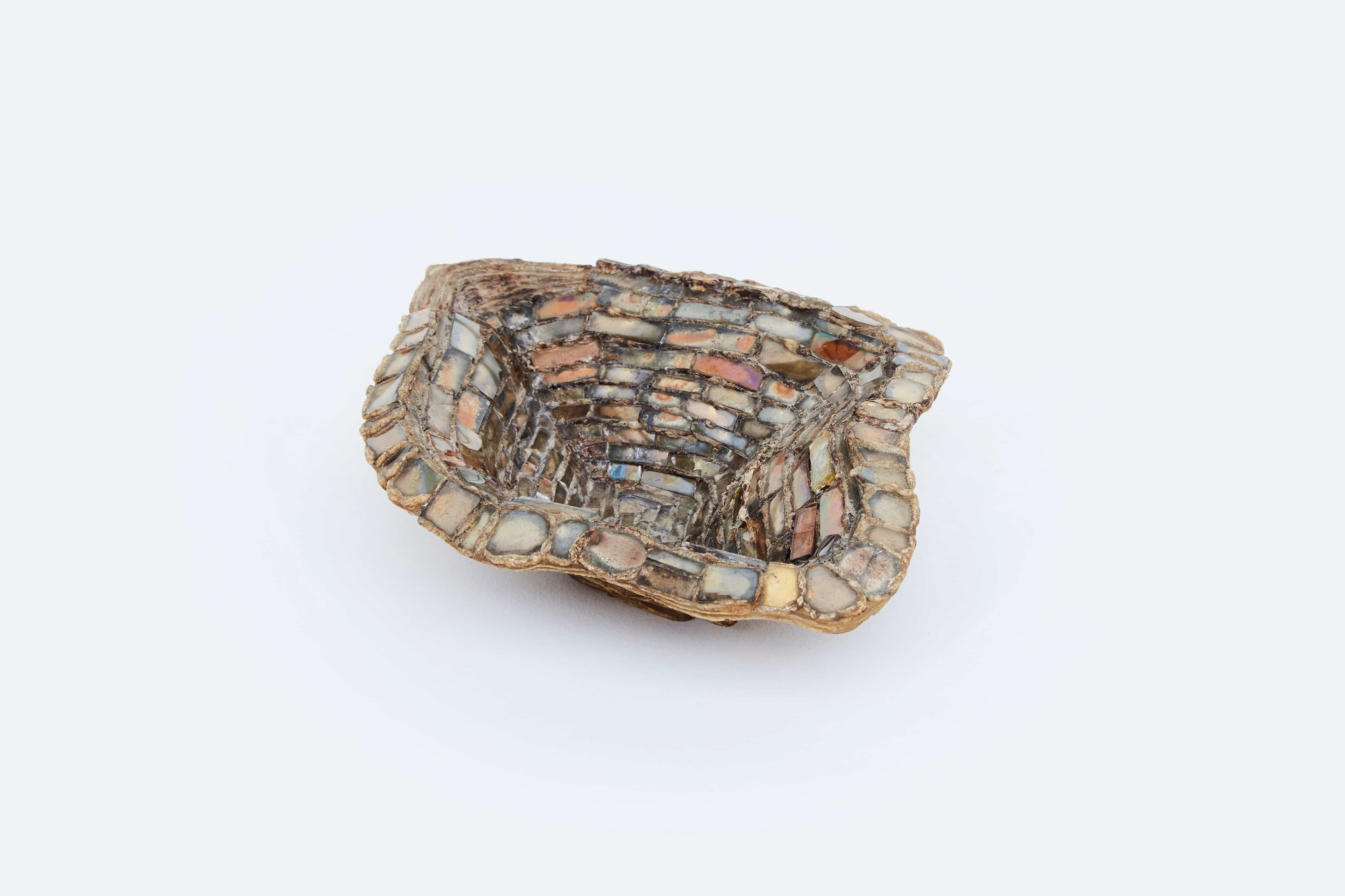 Line Vautrin, Coupe Huître, vue 03